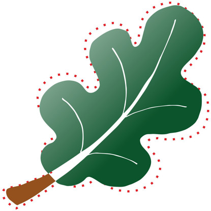 Изображение обведи контур