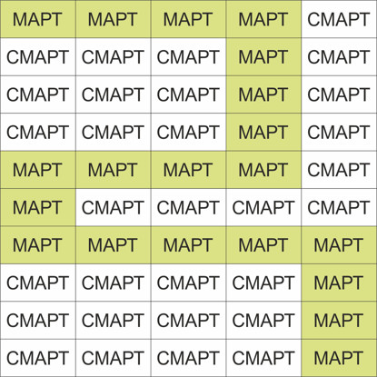 Изображение дорожка из слов (весна)