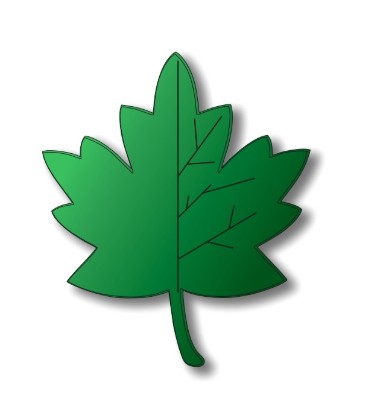 Изображение дорисуй вторую половину